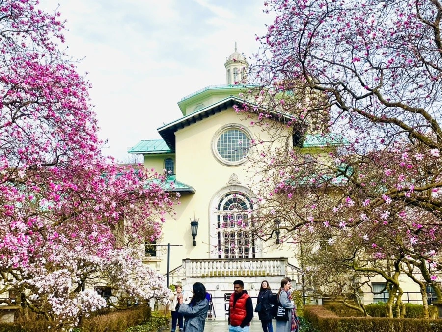 DOVGUGuzkHaDRsL8kJYgK4yGktM