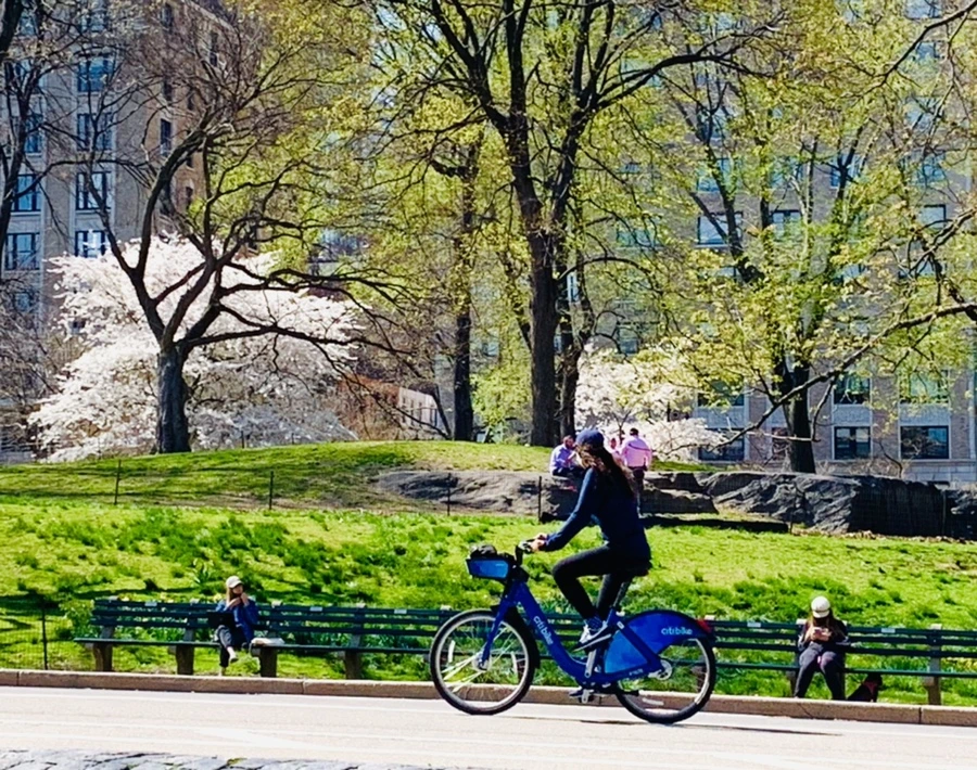 IMG_9008.jpg?type=w966