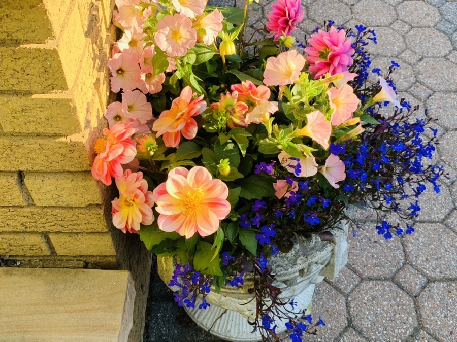 IMG_1908.jpg?type=w966