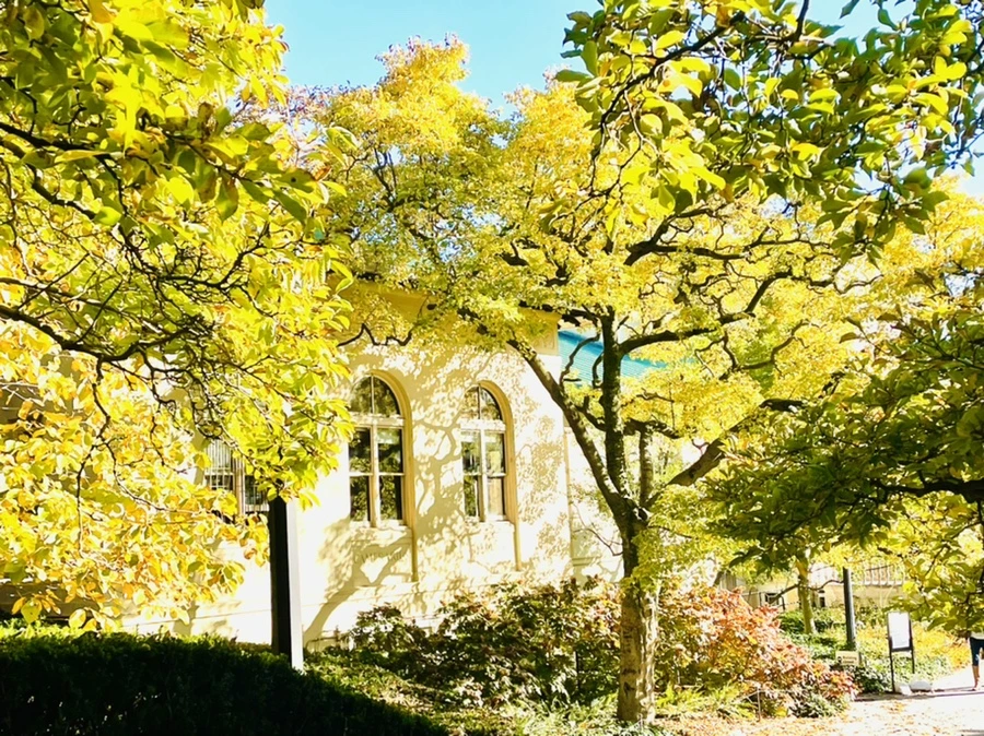 IMG_2070.jpg?type=w966