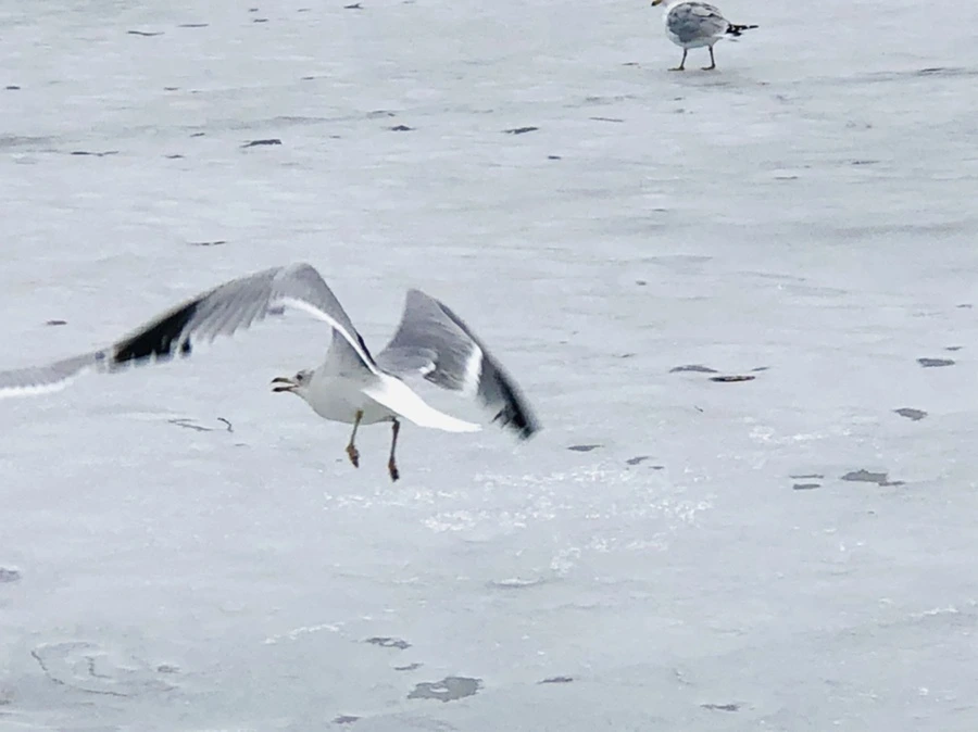 IMG_6323.jpg?type=w966