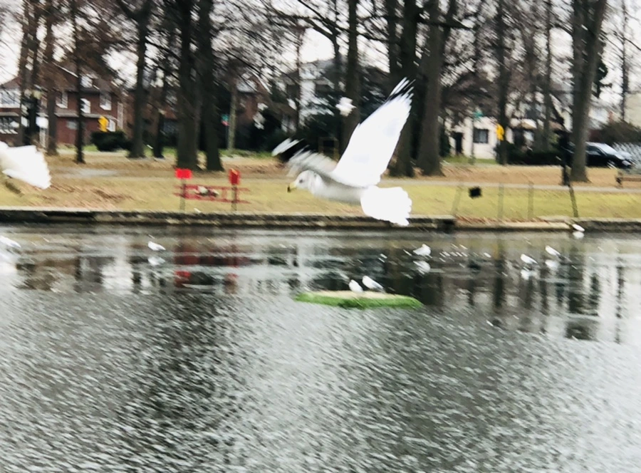 IMG_3291.jpg?type=w966