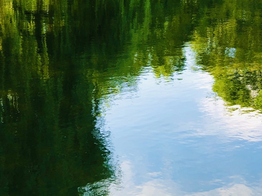 IMG_2931.jpg?type=w966