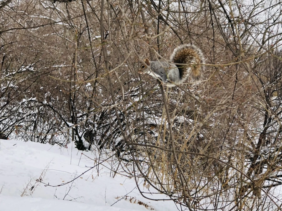 IMG_9574.jpg?type=w966