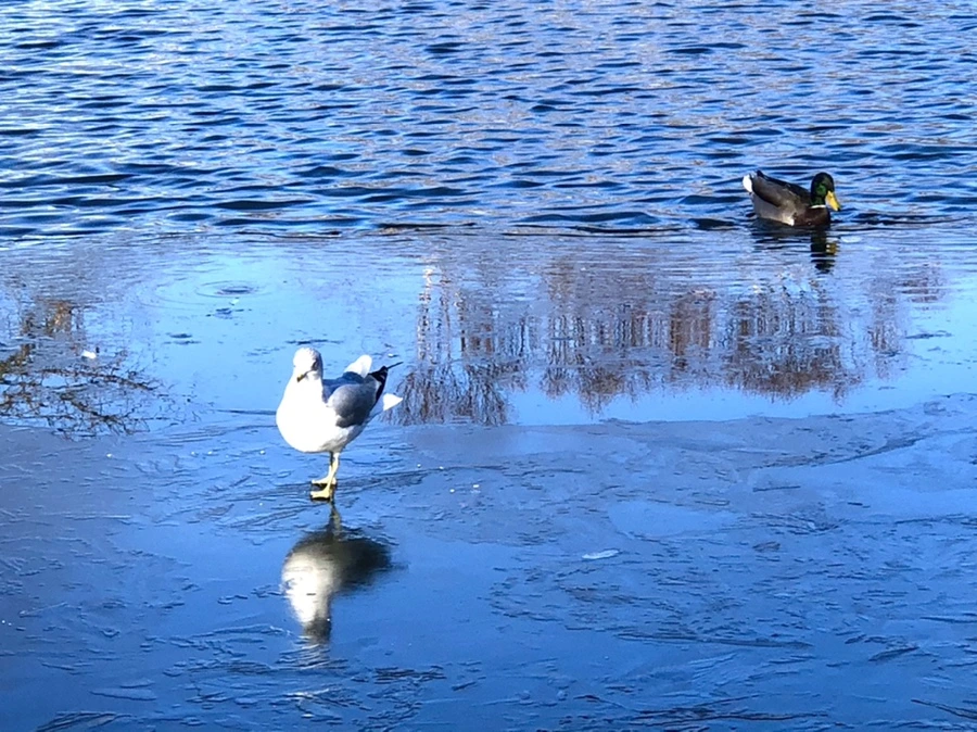 IMG_0584.jpg?type=w966