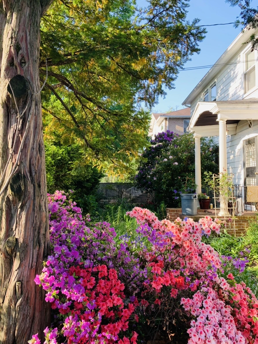 IMG_4086.jpg?type=w966