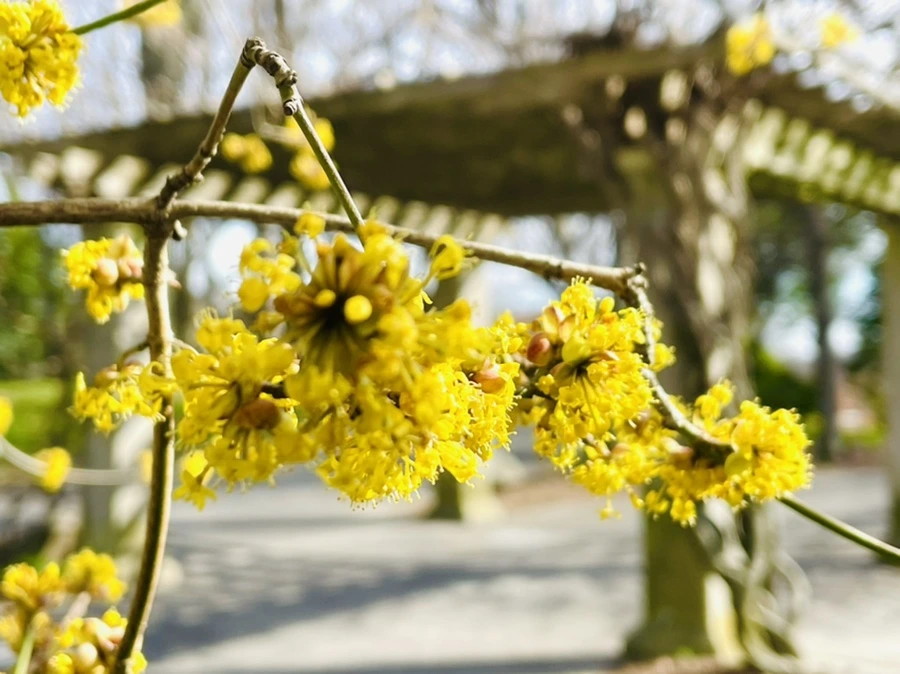 IMG_6655.jpg?type=w966