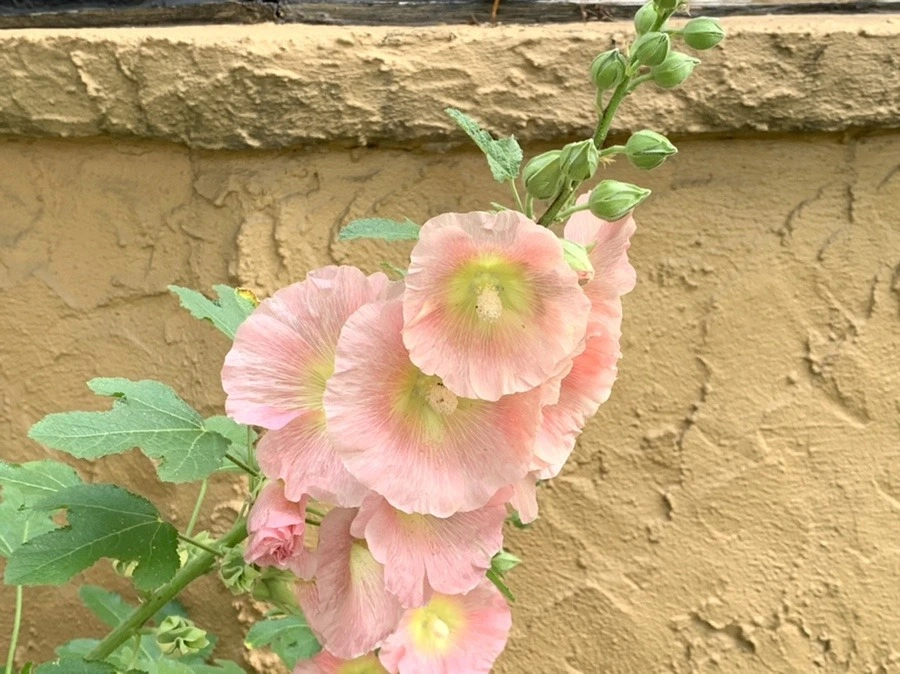 u1O1Cl_caDL95AhHfuDDs1iFpJ4