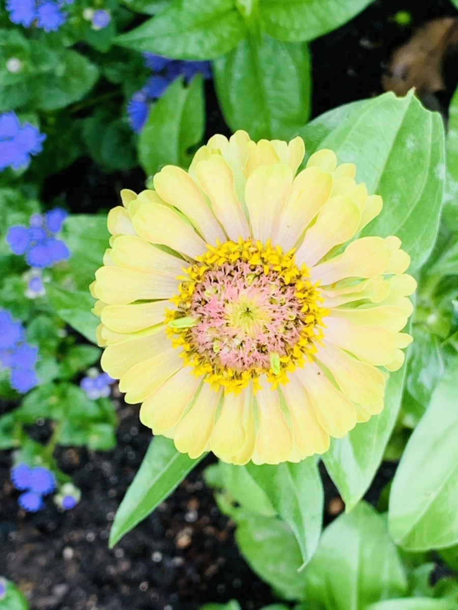 IMG_9555.jpg?type=w966