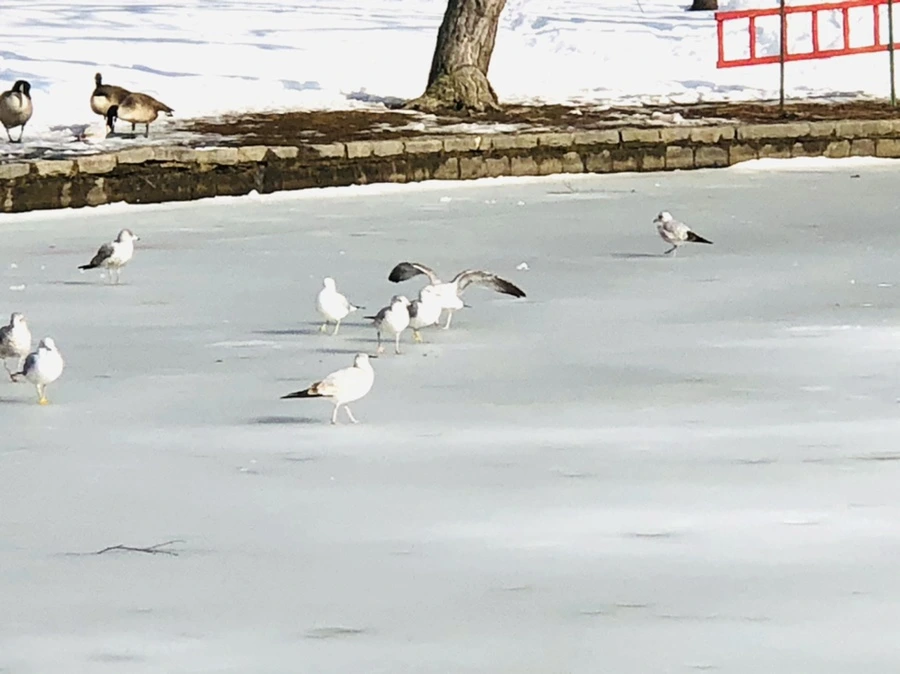 IMG_0150.jpg?type=w966