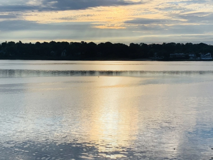 IMG_7721.jpg?type=w966