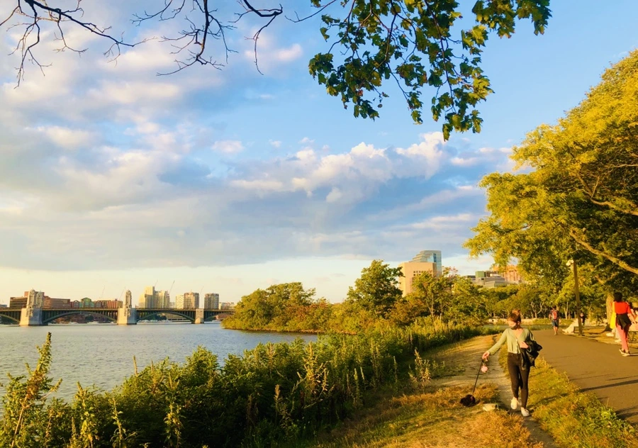 IMG_0844.jpg?type=w966