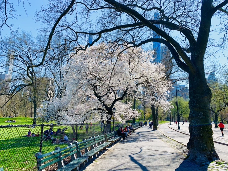 IMG_9017.jpg?type=w966