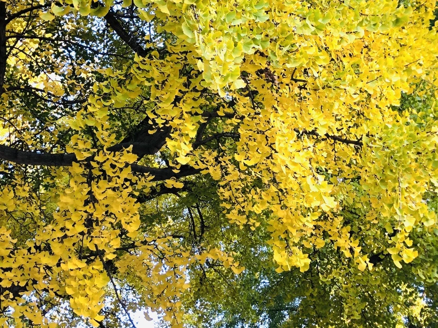 IMG_3653.jpg?type=w966