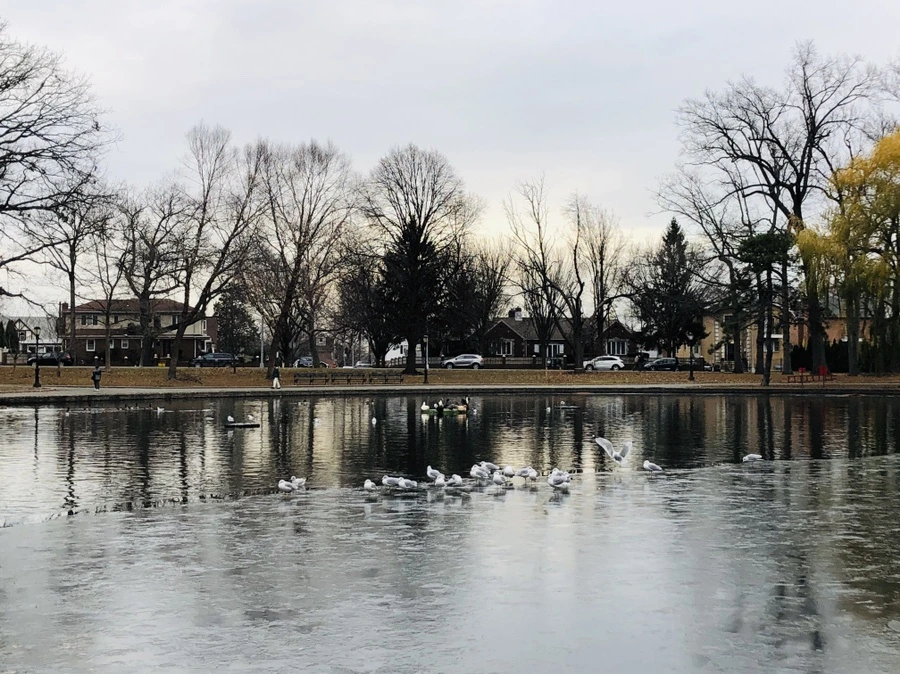 IMG_6253.jpg?type=w966