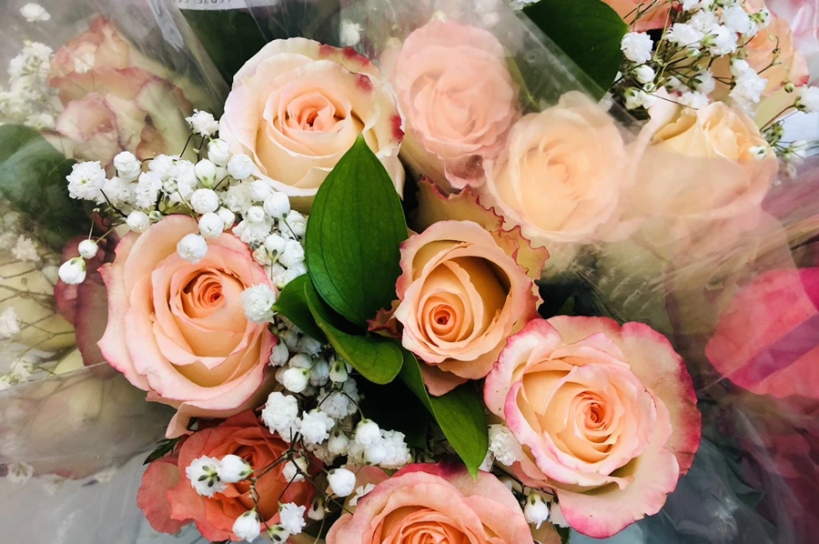 IMG_8742.jpg?type=w966