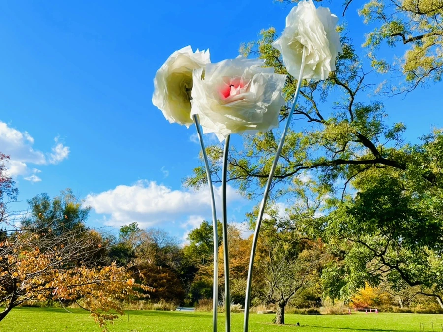 IMG_3146.jpg?type=w966