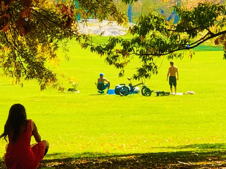 IMG_4345.jpg?type=w966