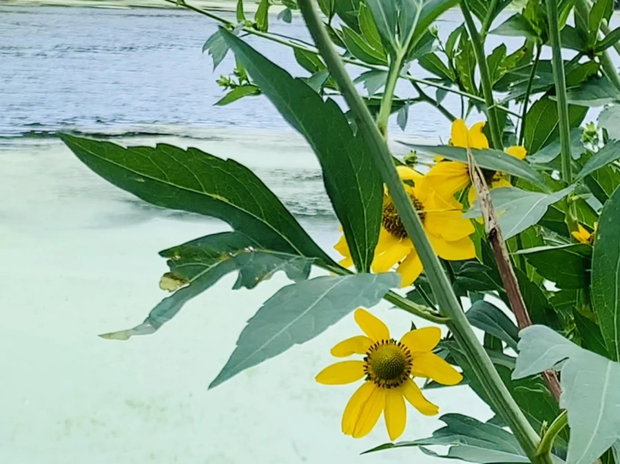 IMG_7605.jpg?type=w966