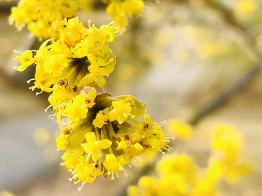 IMG_5938.jpg?type=w966