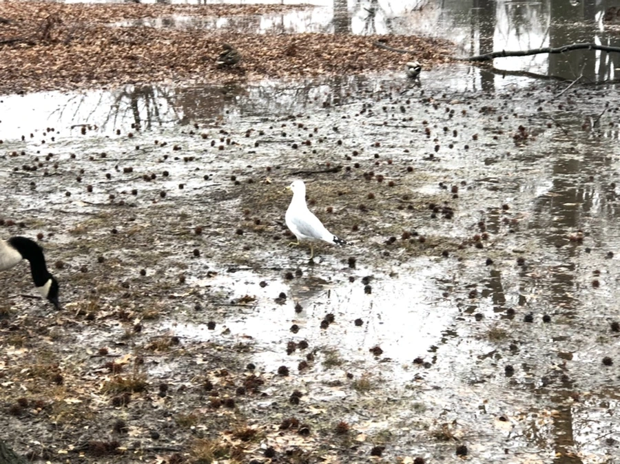 IMG_5674.jpg?type=w966