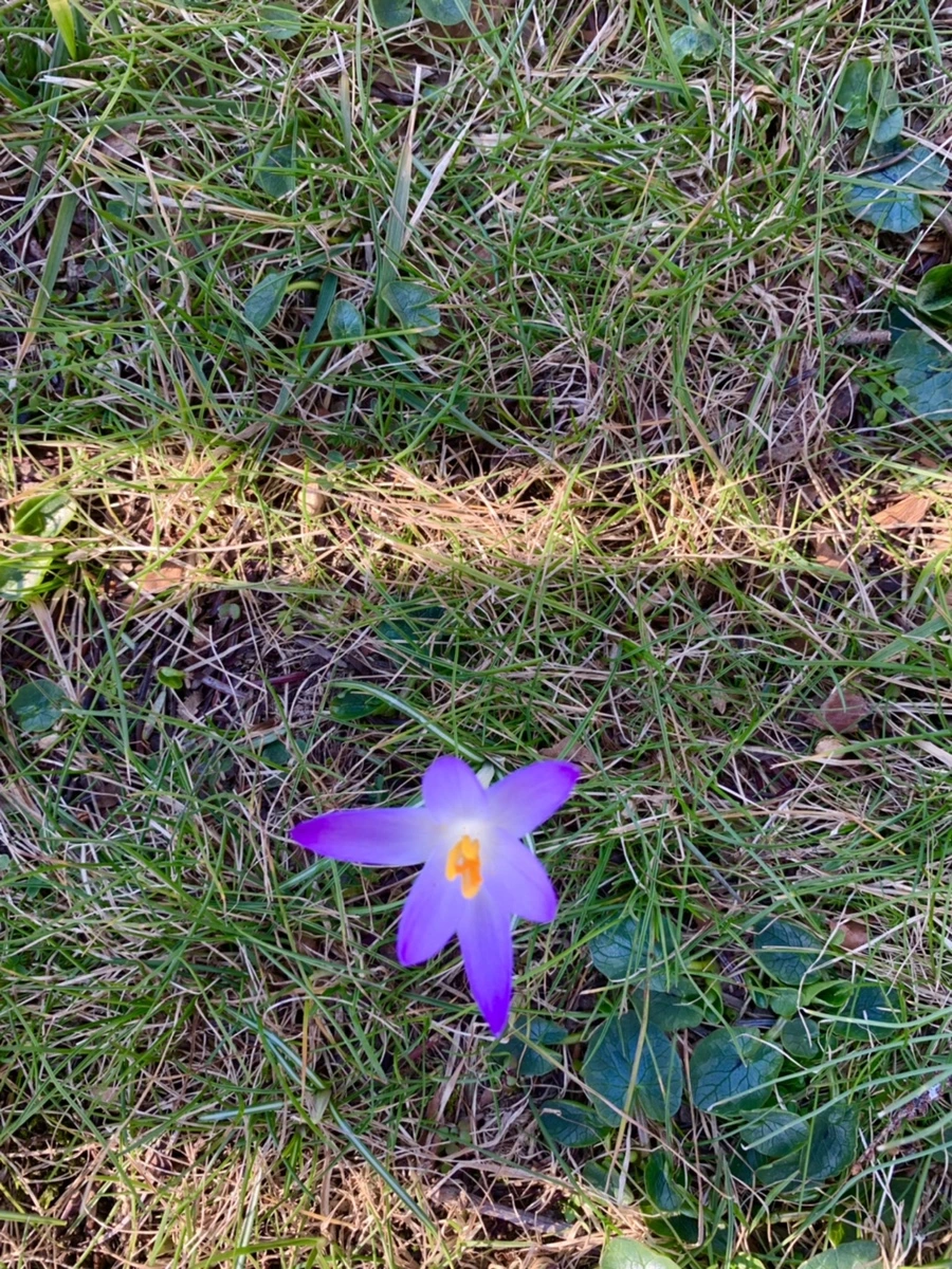 IMG_7052.jpg?type=w966