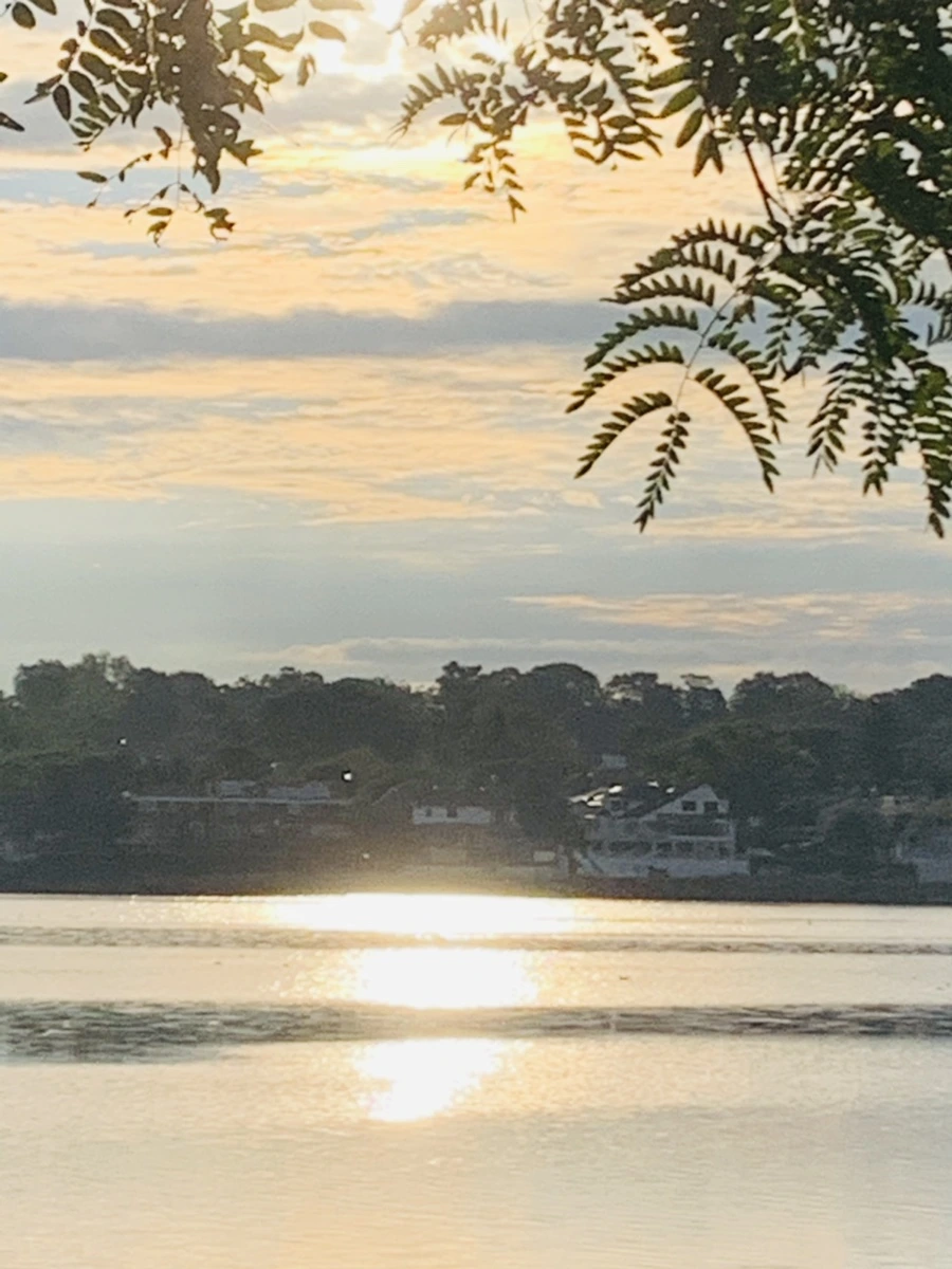 IMG_7762.jpg?type=w966