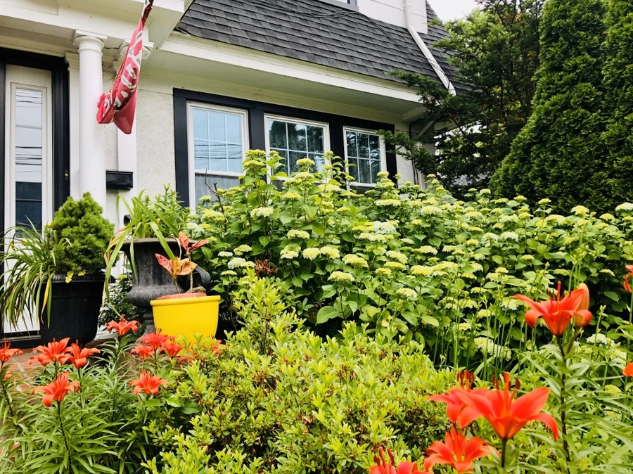 IMG_8920.jpg?type=w966