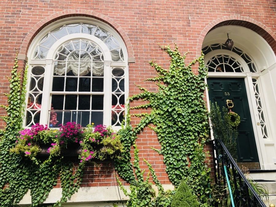 IMG_0602.jpg?type=w966