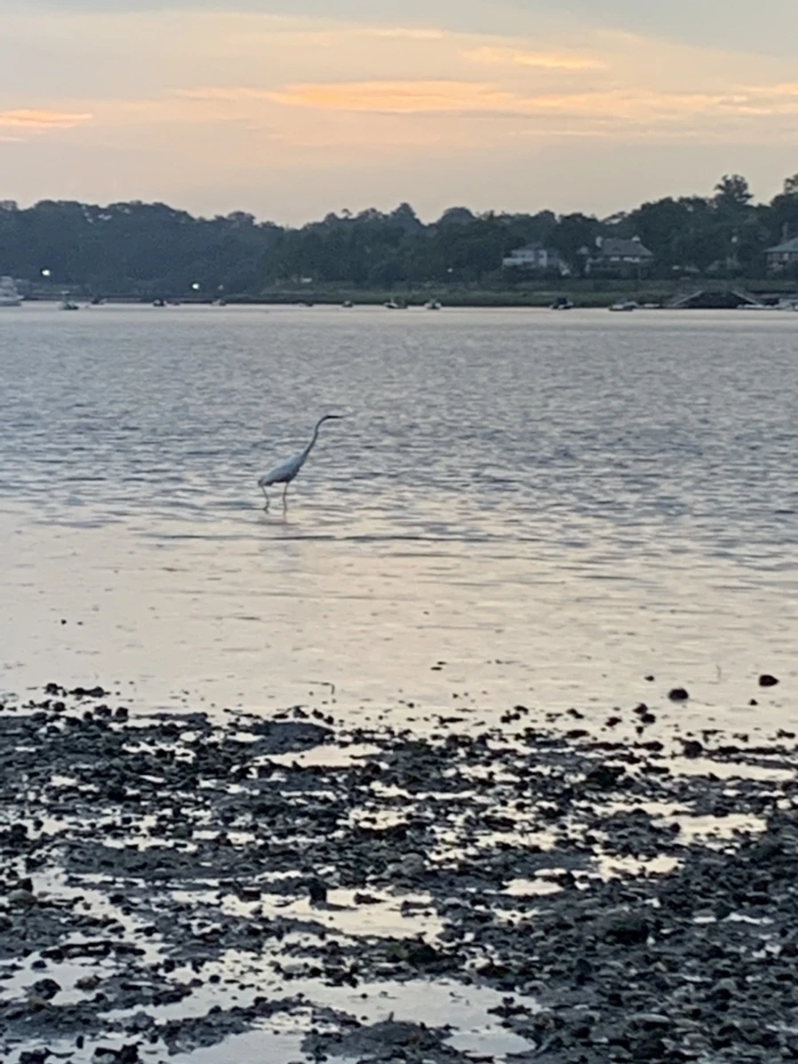 IMG_8158.jpg?type=w966