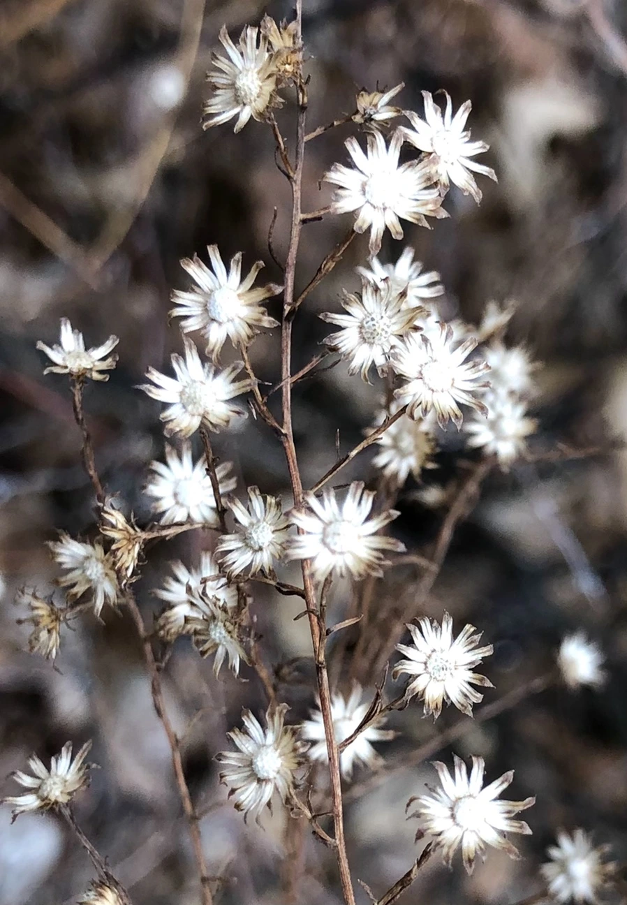 IMG_6504.jpg?type=w966