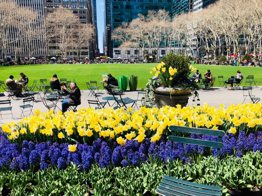 IMG_4583.jpg?type=w966