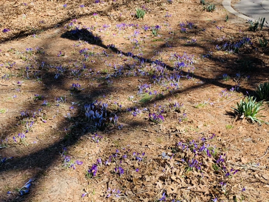 IMG_1438.jpg?type=w966