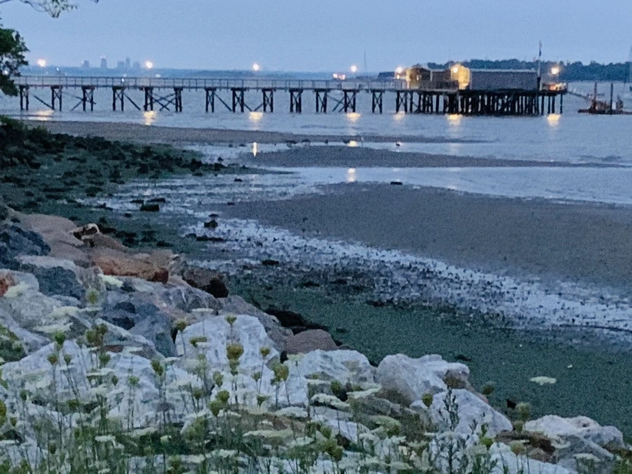 IMG_6685.jpg?type=w966