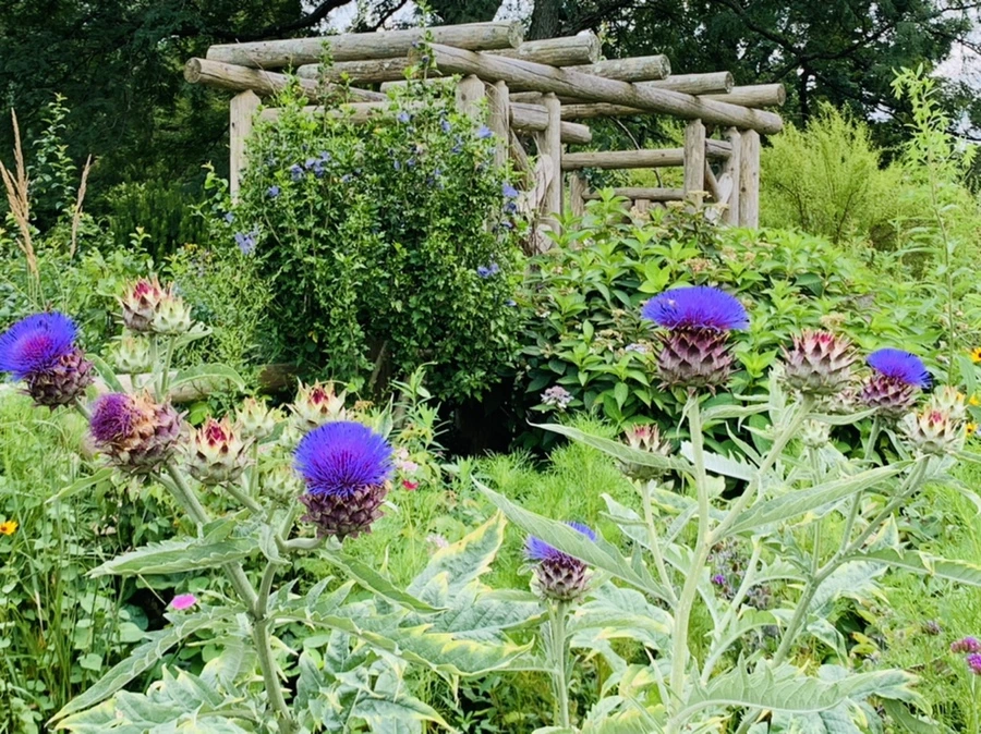 IMG_9397.jpg?type=w966