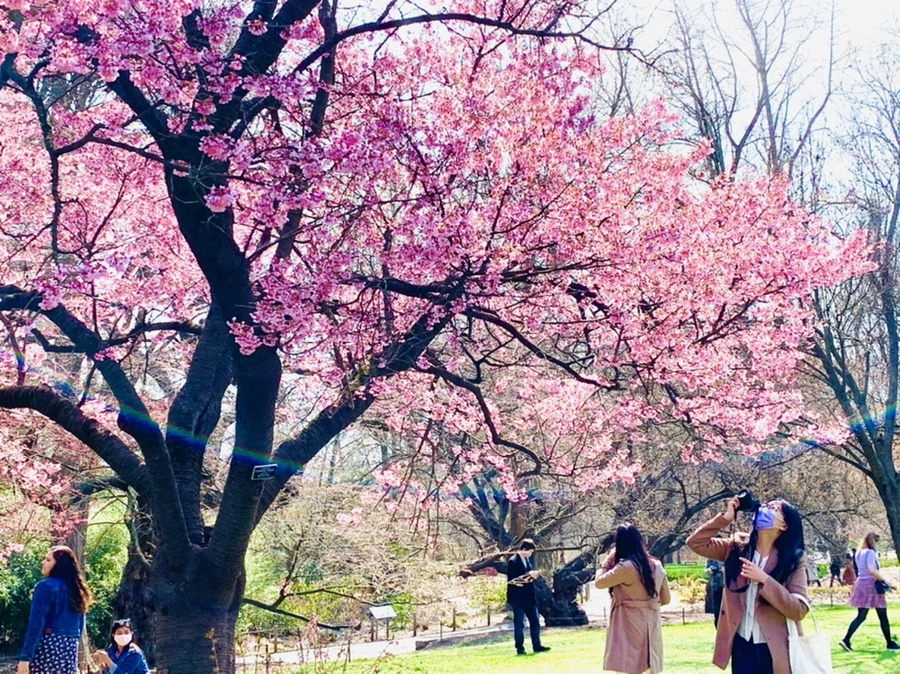 IMG_7348.jpg?type=w966