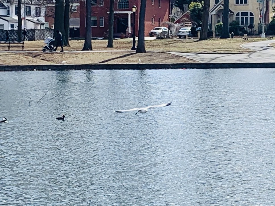 IMG_7225.jpg?type=w966