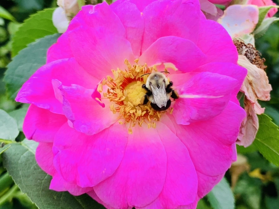 IMG_5024.jpg?type=w966