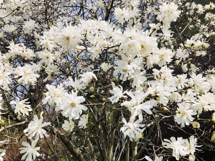 IMG_2840.jpg?type=w966