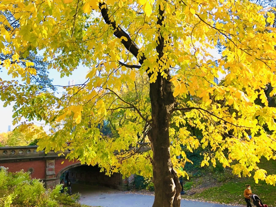 IMG_3436.jpg?type=w966