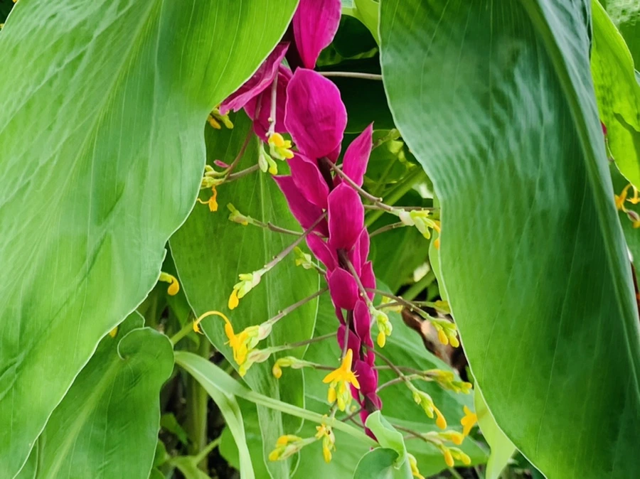 IMG_9390.jpg?type=w966