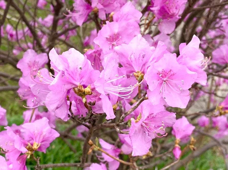 IMG_5964.jpg?type=w966