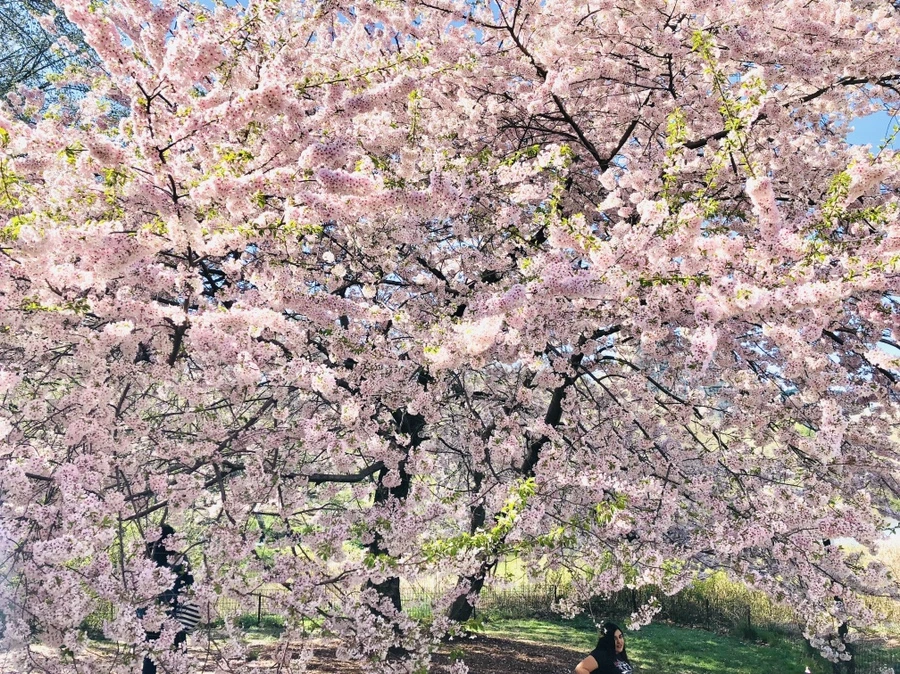 IMG_3120.jpg?type=w966