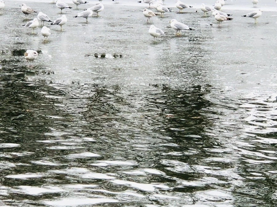 r4Tn4IuxQPEFCDhGt5-mrqtdg00