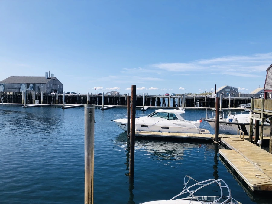 IMG_5001.jpg?type=w966