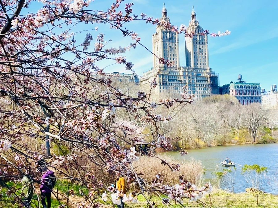 IMG_8403.jpg?type=w966