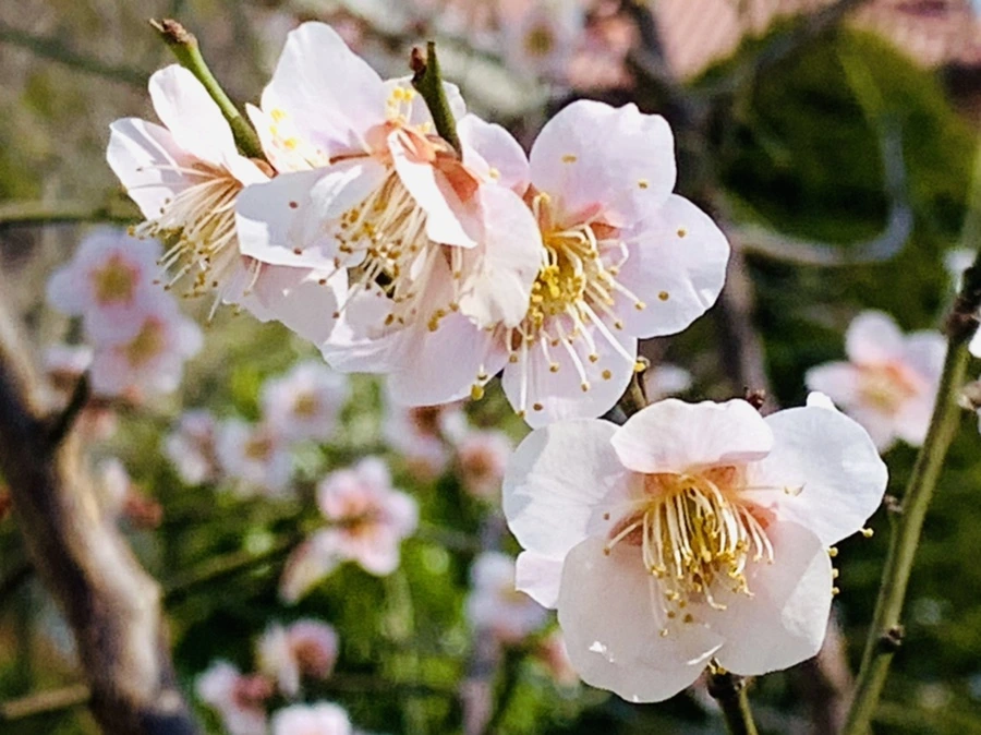 IMG_0994.jpg?type=w966