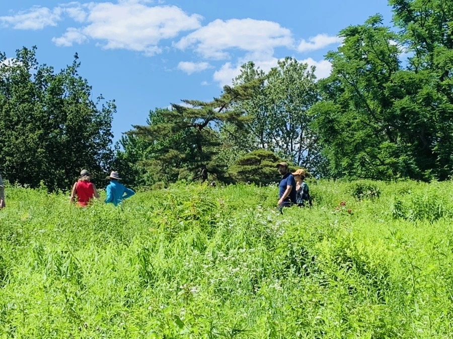 -d7nR-u5N_rsN4bqtE-d9egvVAo