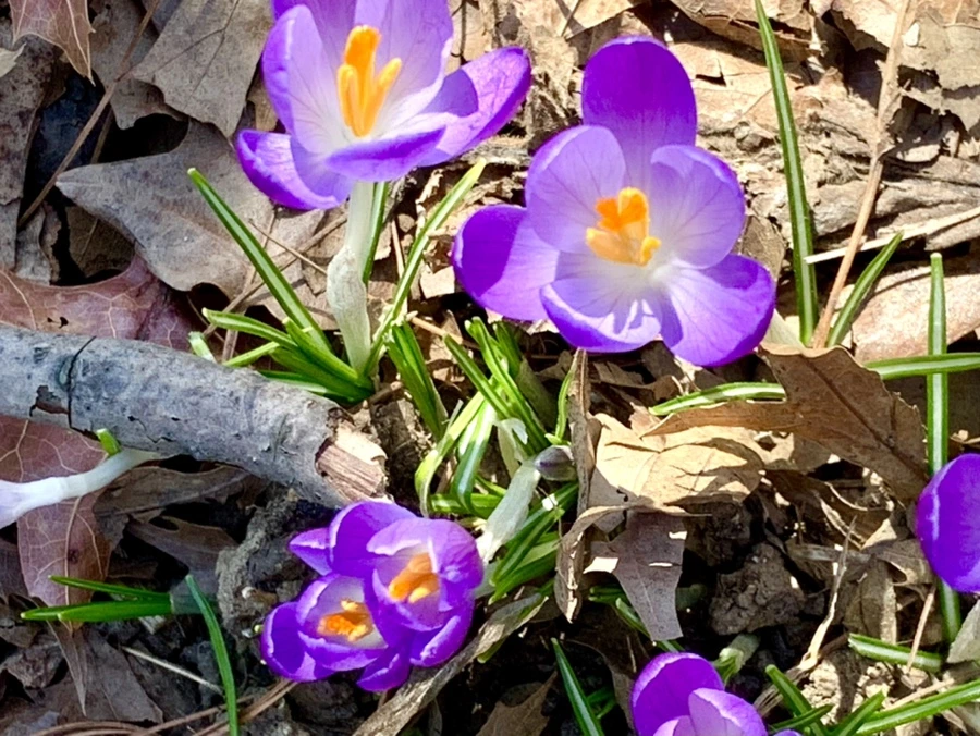 IMG_9788.jpg?type=w966