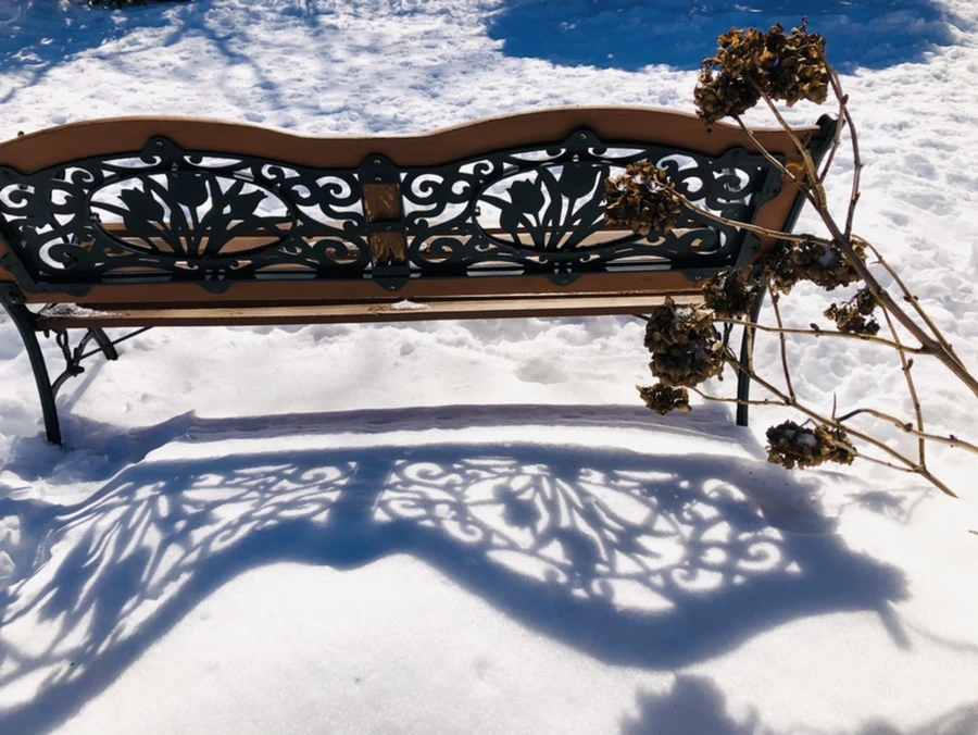 IMG_3998.jpg?type=w966